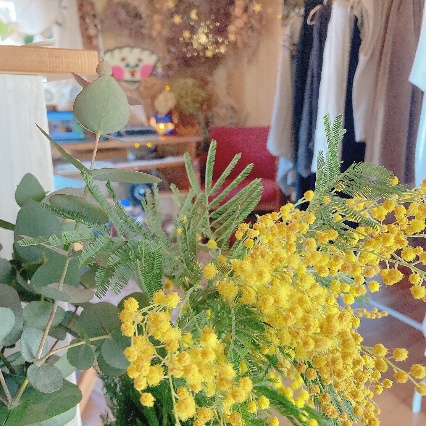 春を感じる黄色い花