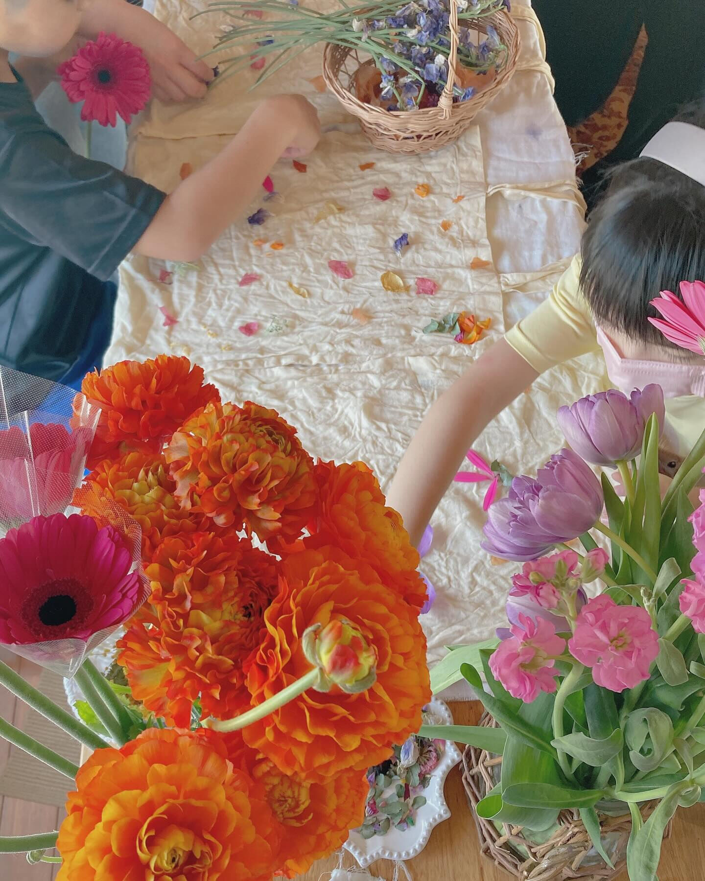 バンドルダイWS🌷