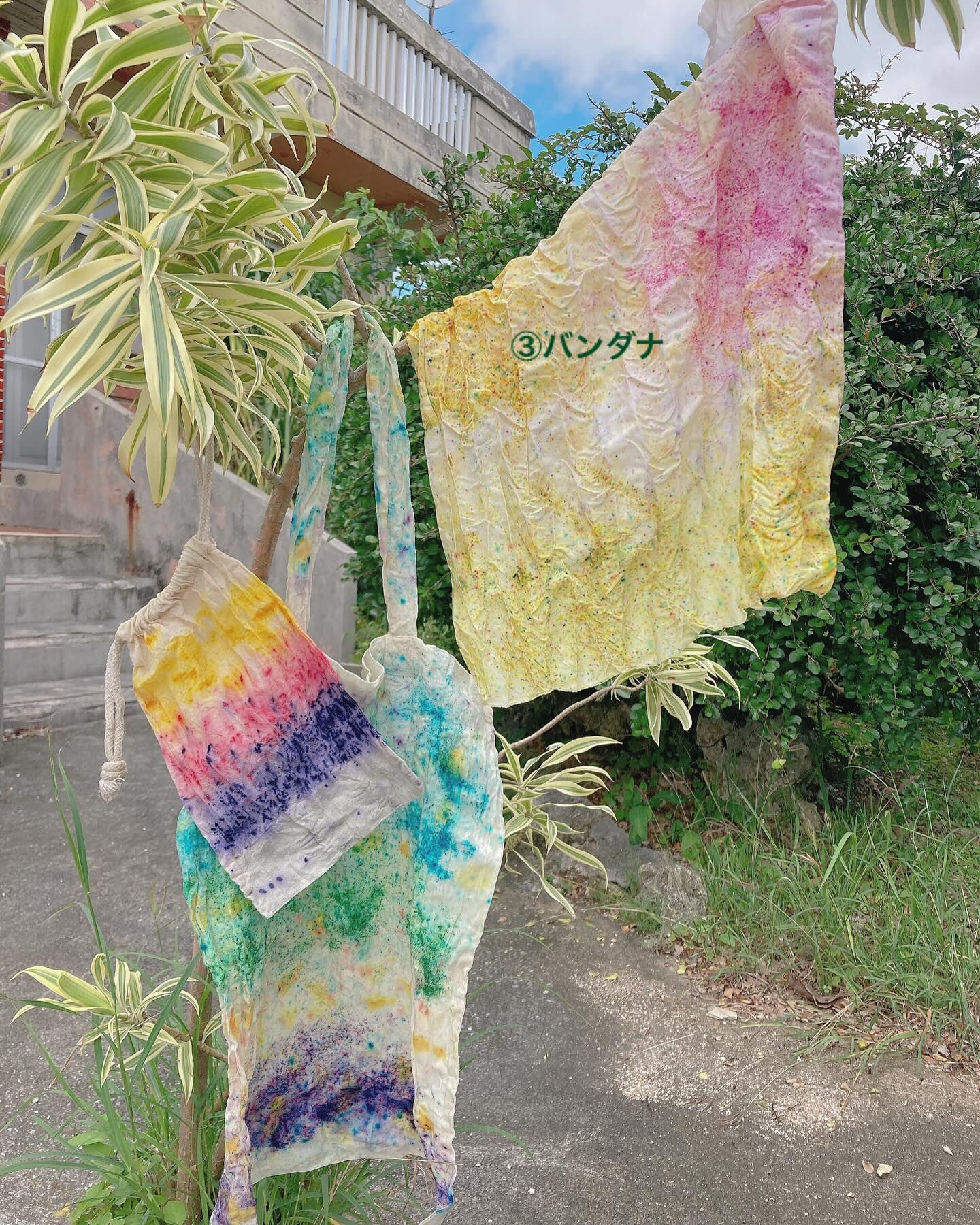 バンドルダイWS🌷