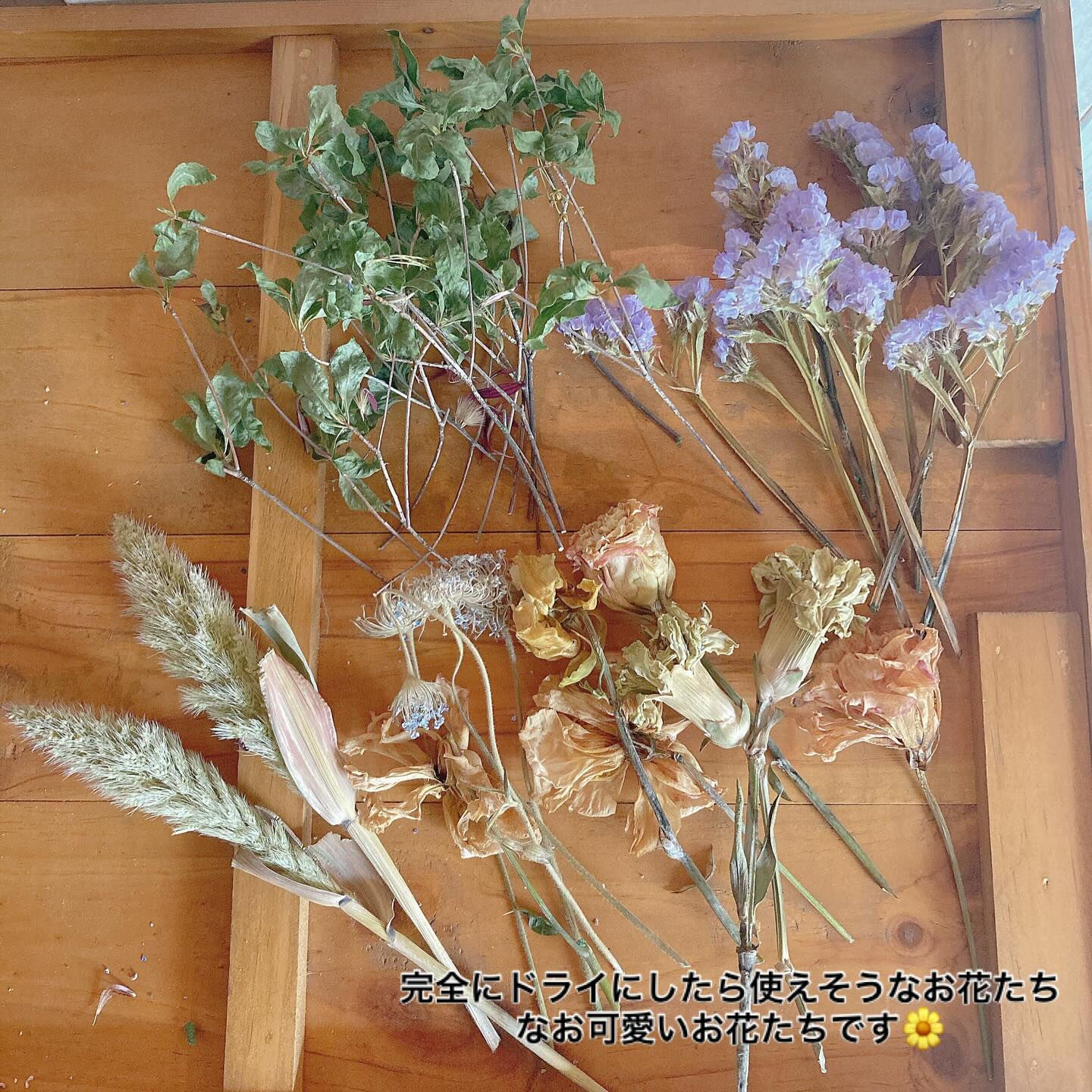 multi_image