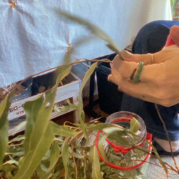 ポプリを作りました🌿♡