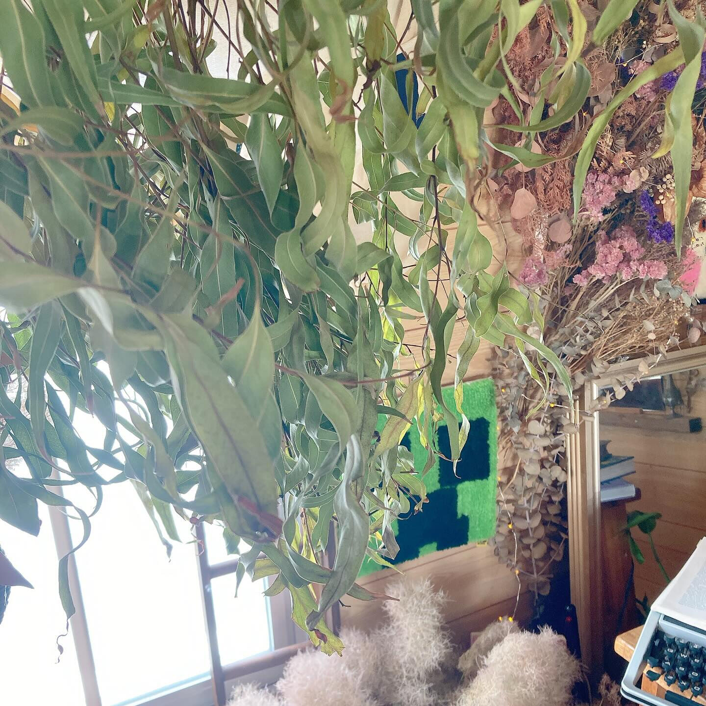 レモンユーカリポプリ🍋♡