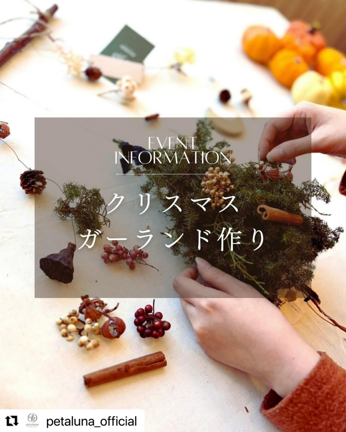 アロマとXmasツリー🌲