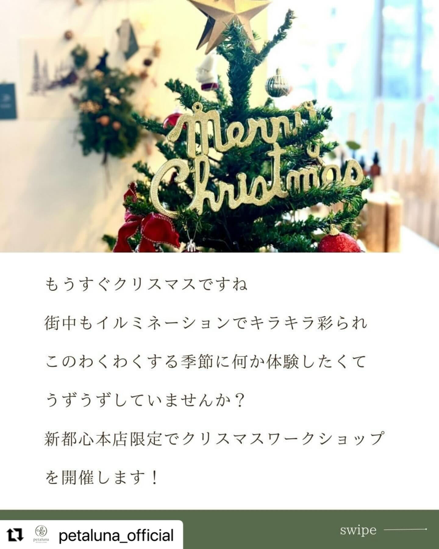 アロマとXmasツリー🌲