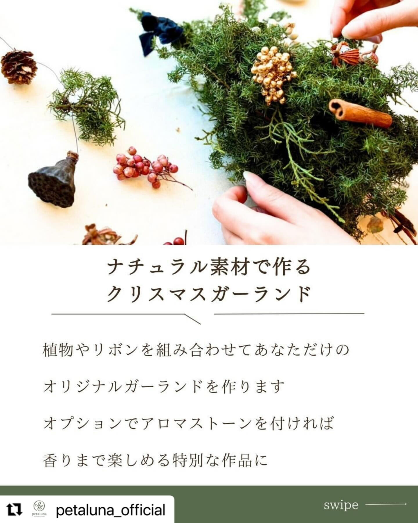 アロマとXmasツリー🌲