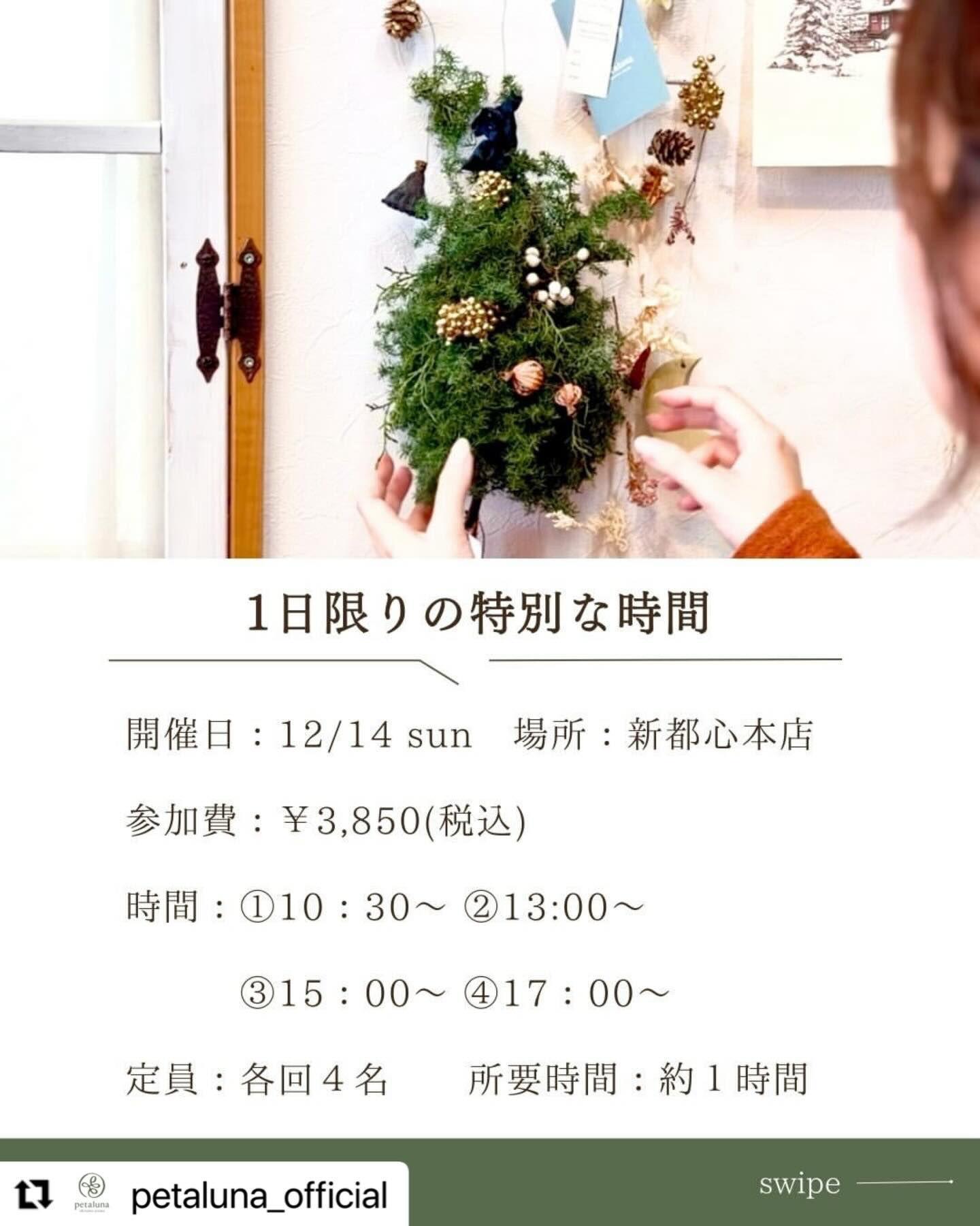 アロマとXmasツリー🌲